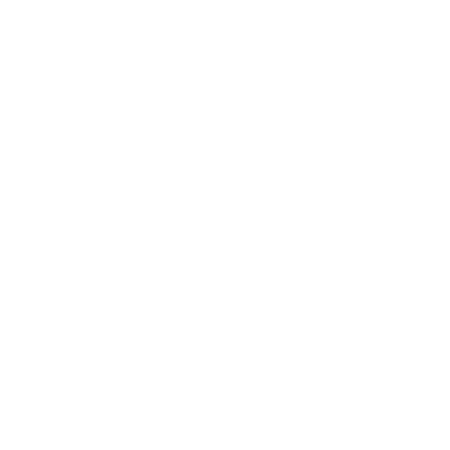 Expert Icon